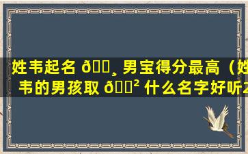 姓韦起名 🌸 男宝得分最高（姓韦的男孩取 🌲 什么名字好听2021）